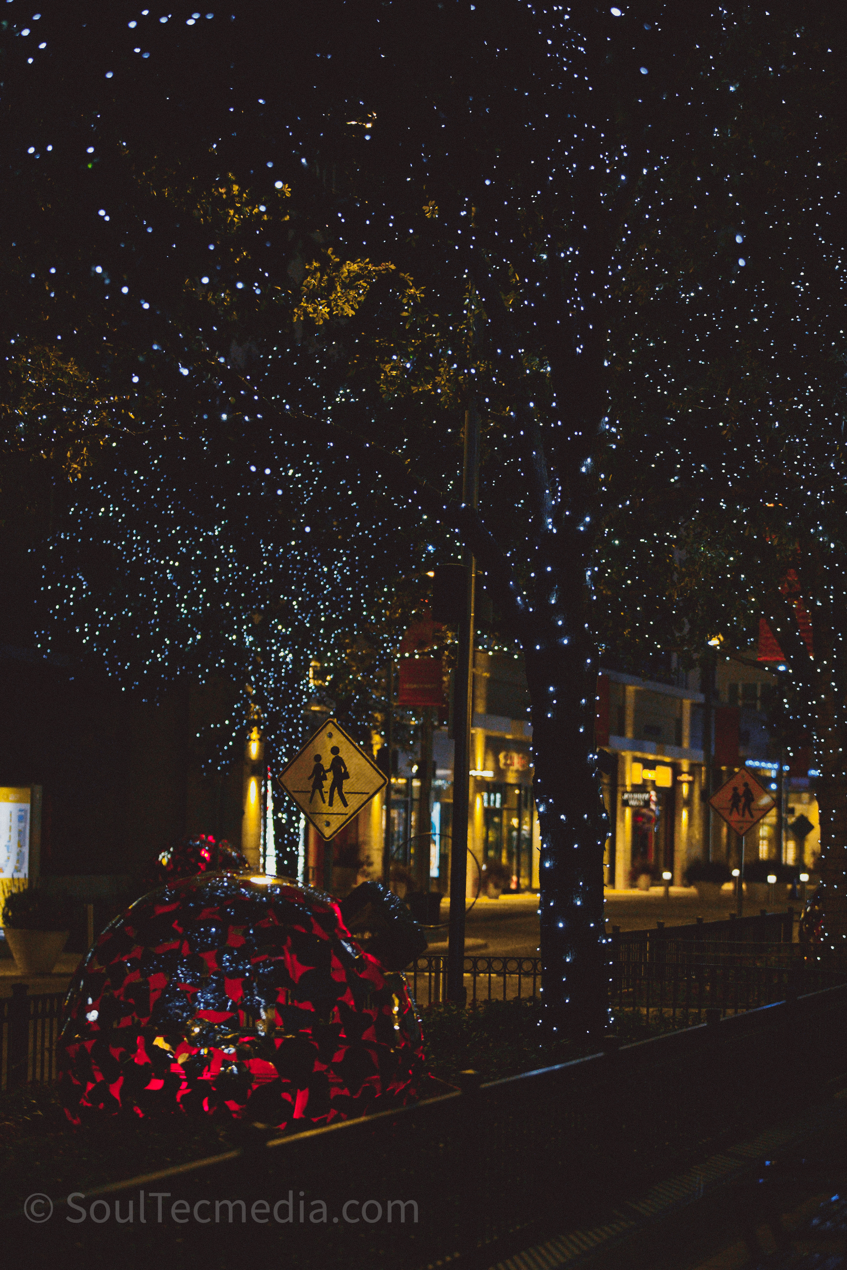 Starlit street